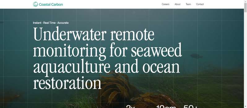 Coastal Carbon