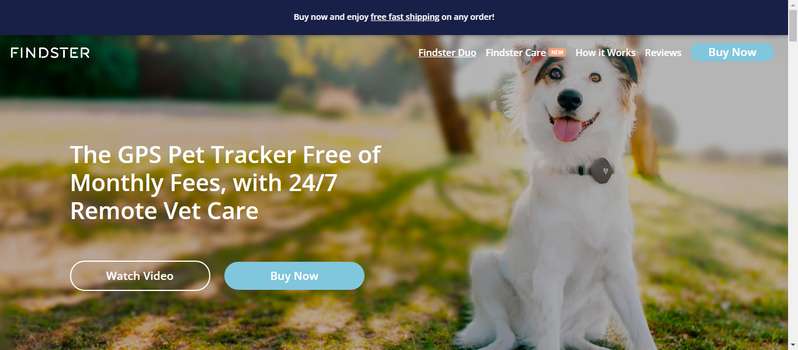 Findster