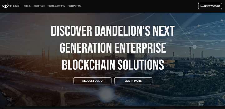 Dandelion Networks